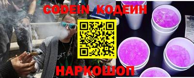 индика Новодвинск