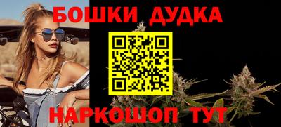 индика Новодвинск
