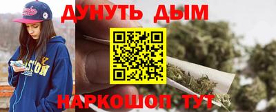 индика Новодвинск