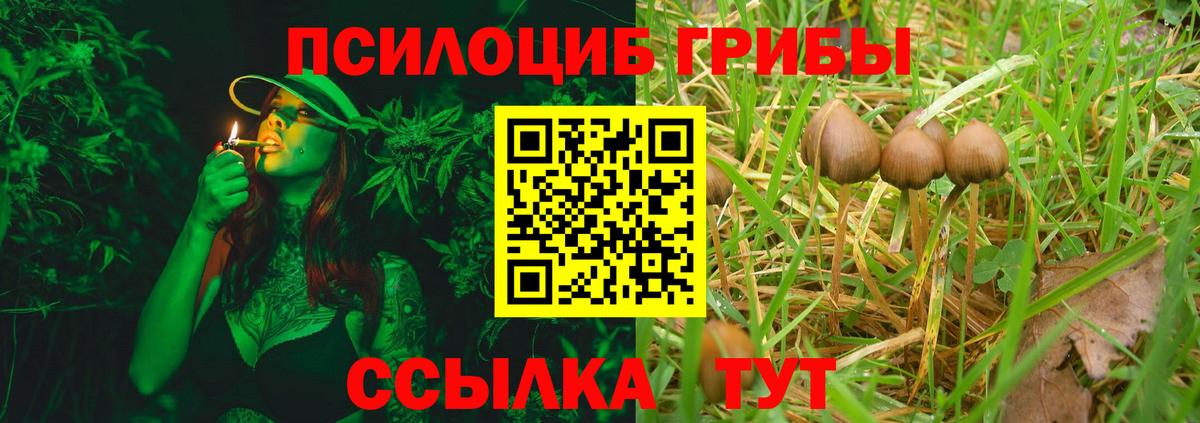 Углич  Псилоцибиновые грибы Psilocybe  где купить   Вход с VPN 